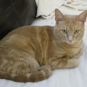 Meet your Posher, Jan